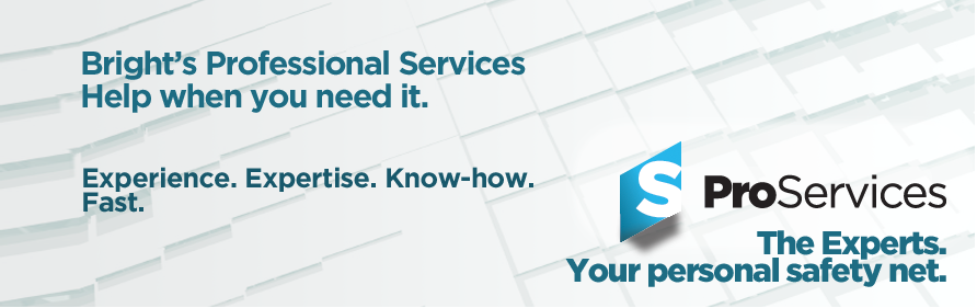 Professional Services